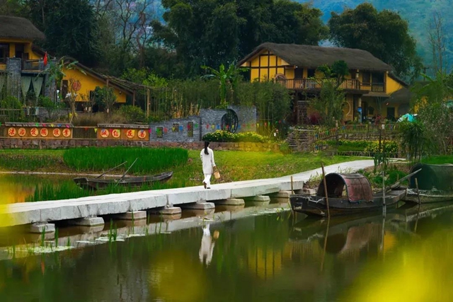 宜宾:打造中华竹都,竹林风景线带来“绿金”248亿元(图4) 宜宾:打造中华竹都,竹林风景线带来“绿金”248亿元(图4)