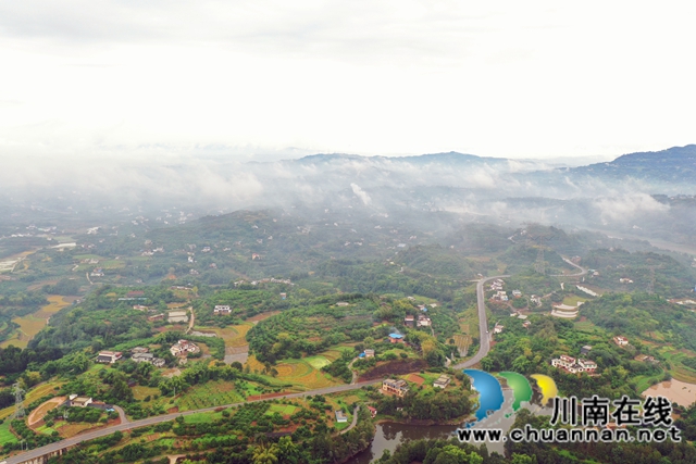 金秋十月，合江真龙柚迎来丰收！(图9)