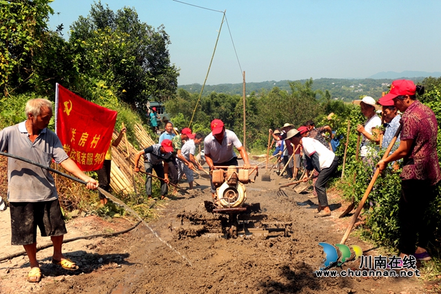 纳溪区护国镇：女支书带领村民打通产业奔康路(图3)