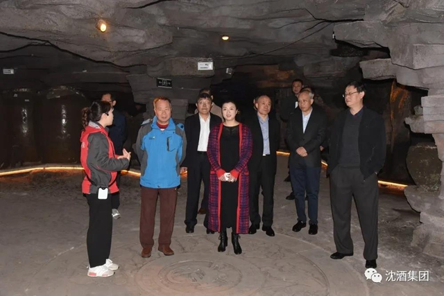 泸州市决咨委在沈子国酒庄召开第六次主任会议并调研中国沈酒集团(图13)
