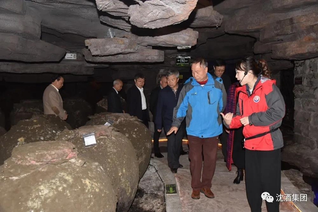 泸州市决咨委在沈子国酒庄召开第六次主任会议并调研中国沈酒集团(图15)