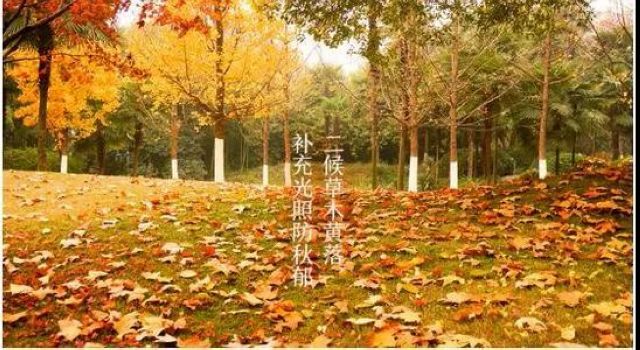 【霜降】今天起，不要吃烧烤了？(图4)