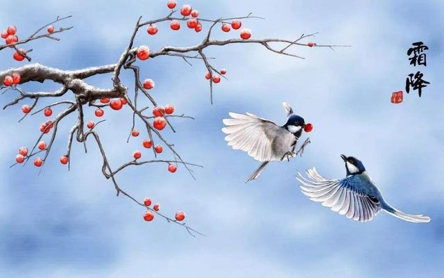 【霜降】今天起，不要吃烧烤了？(图6)