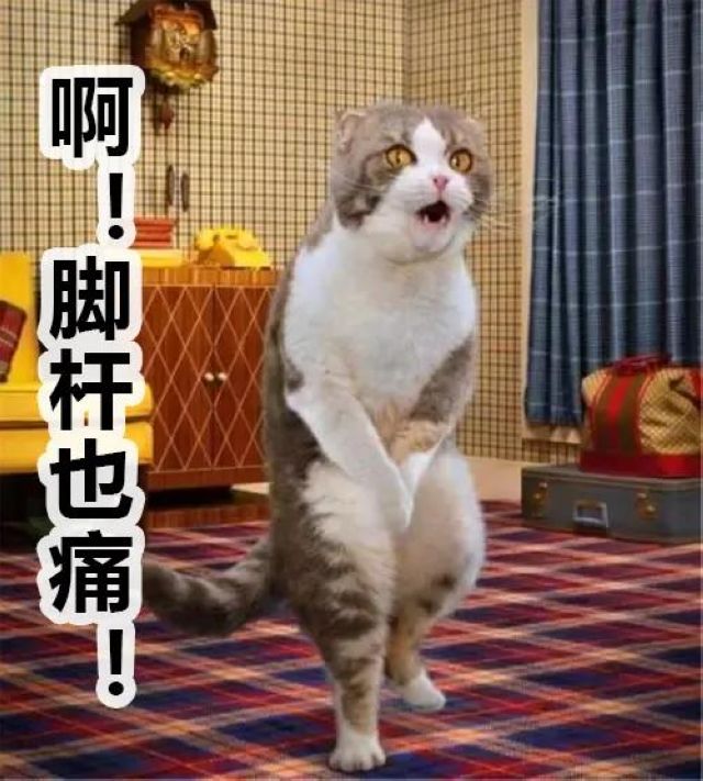泸州市人医：一顿操作猛如虎，腰椎间盘不再苦