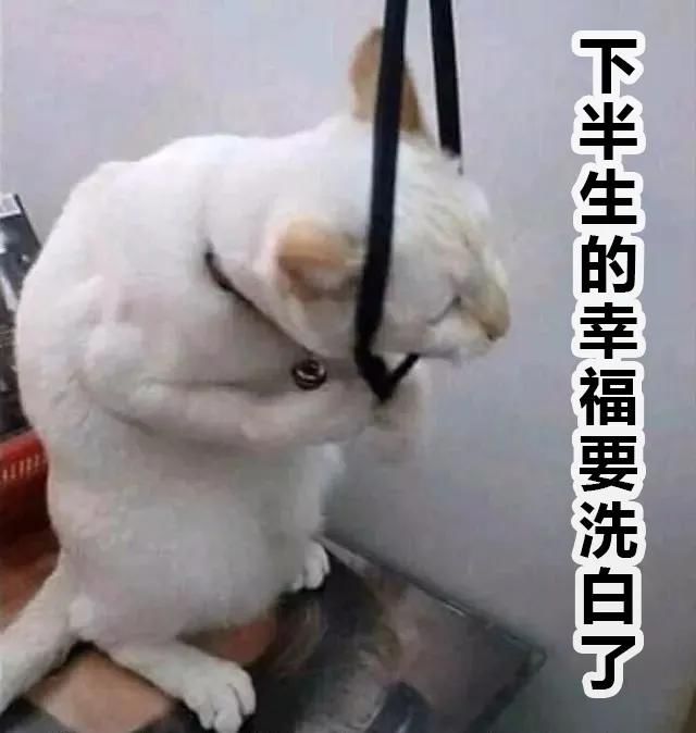 泸州市人医：一顿操作猛如虎，腰椎间盘不再苦(图5)