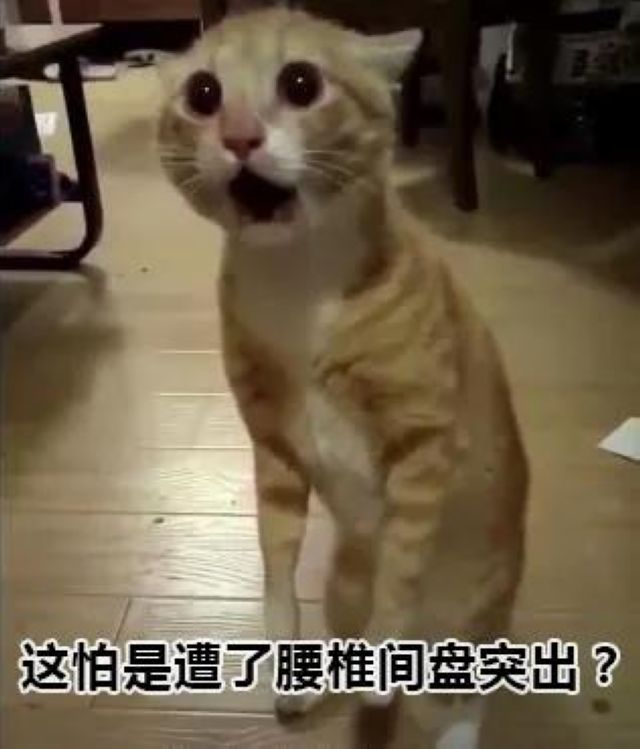 泸州市人医：一顿操作猛如虎，腰椎间盘不再苦(图4)
