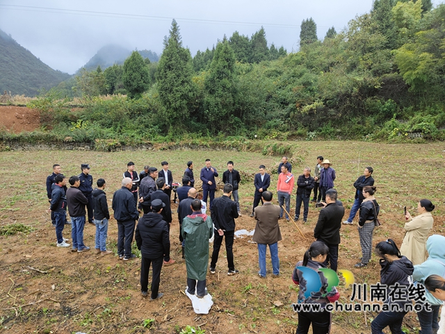 古蔺县石宝镇：产业发展带来致富新希望(图2)