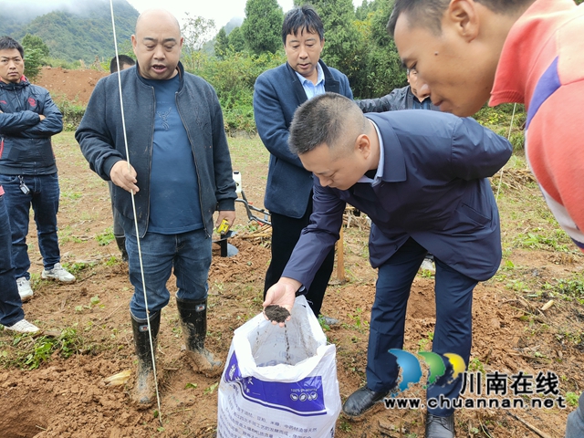 古蔺县石宝镇：产业发展带来致富新希望(图5)