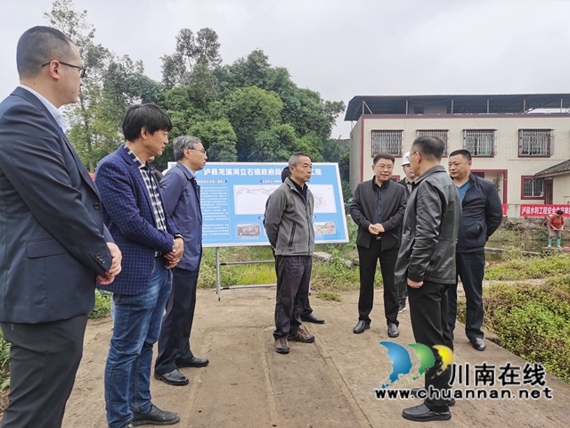 水利厅到泸县立石镇督导龙溪河立石段防洪堤工程建设情况(图3)