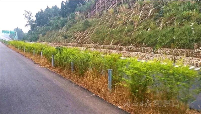 全城关注！内江城市过境高速公路主体即将通车(图4)