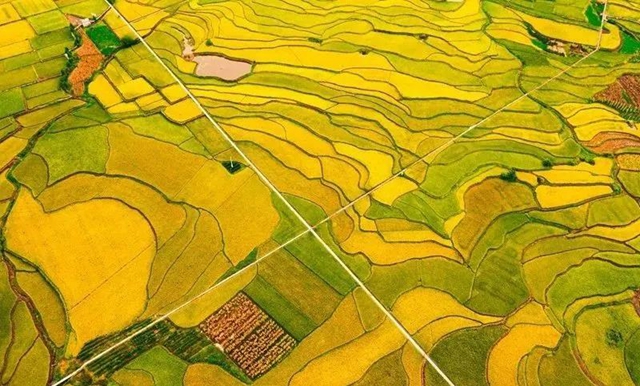 红橙黄绿青蓝紫,这样的七彩泸州美爆啦!(图10) 红橙黄绿青蓝紫,这样的七彩泸州美爆啦!(图10)