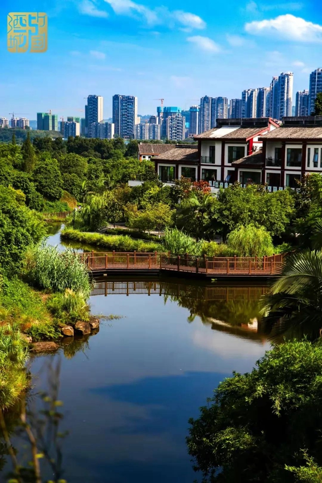 红橙黄绿青蓝紫,这样的七彩泸州美爆啦!(图13) 红橙黄绿青蓝紫,这样的七彩泸州美爆啦!(图13)