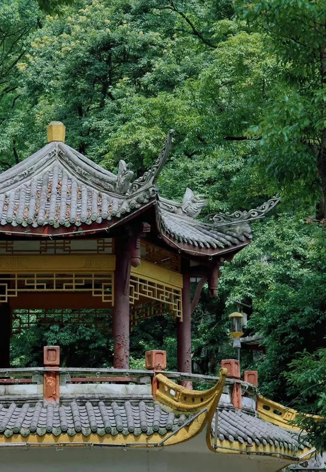 红橙黄绿青蓝紫,这样的七彩泸州美爆啦!(图14) 红橙黄绿青蓝紫,这样的七彩泸州美爆啦!(图14)