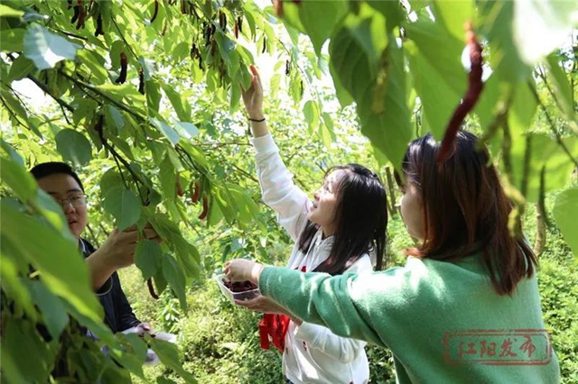 蔬菜太贵？江阳本土吃货专场来咯！美味还实惠，买它！(图6)