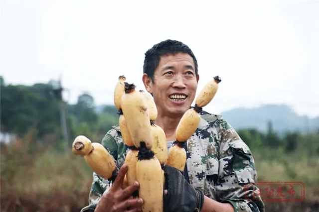 蔬菜太贵？江阳本土吃货专场来咯！美味还实惠，买它！(图11)