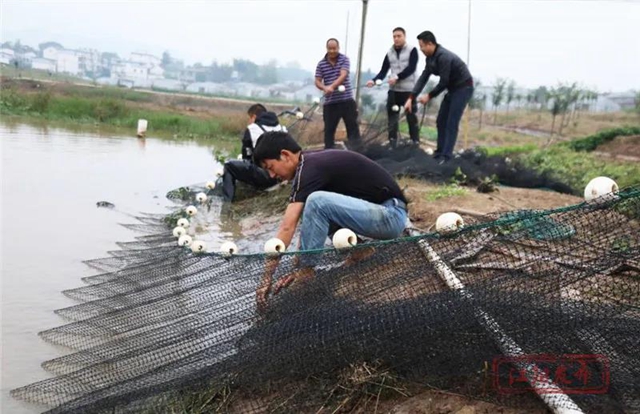 蔬菜太贵？江阳本土吃货专场来咯！美味还实惠，买它！(图14)