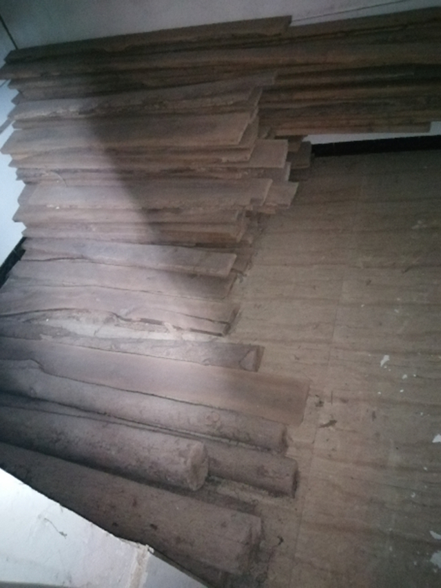 速来围观，合江公安将公开拍卖一批珍稀木材！(图5)