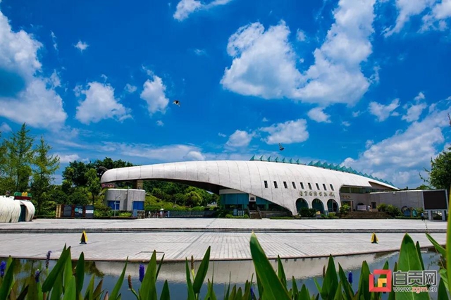 重磅官宣！自贡文旅发展新目标(图4)