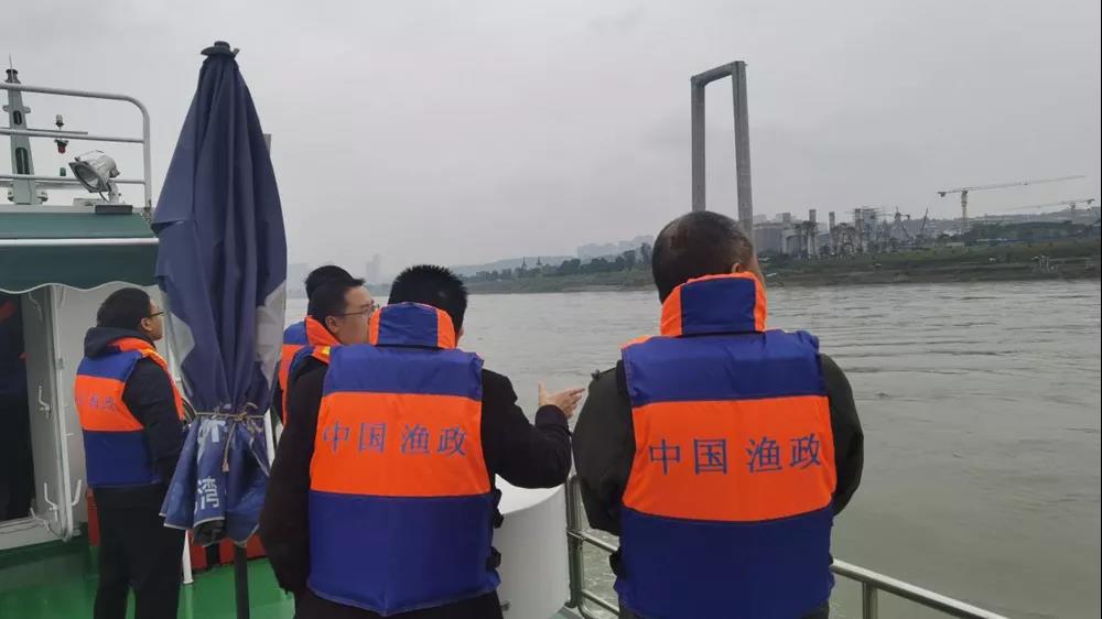 泸州市开展打击河道非法采砂非法捕捞综合执法巡查(图2) 泸州市开展打击河道非法采砂非法捕捞综合执法巡查(图2)
