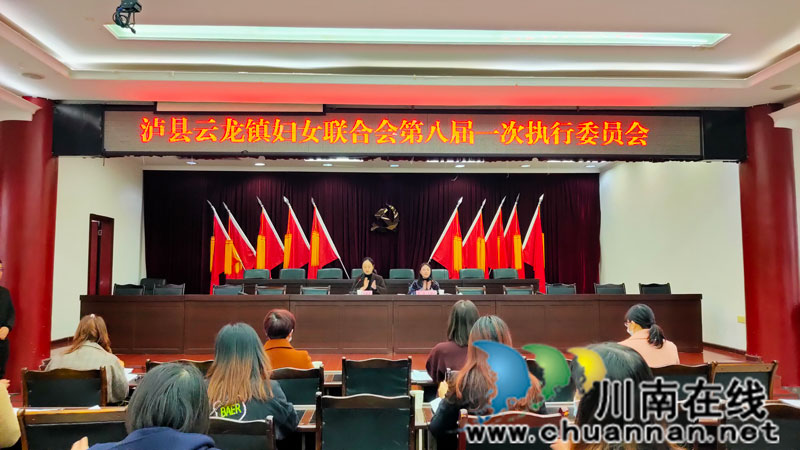 泸县云龙镇召开妇女联合会第八届一次代表大会(图2)