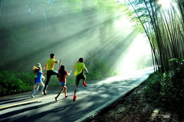 观竹景、赏竹文、品竹食……快来领略宜宾最美竹游风情！(图1)