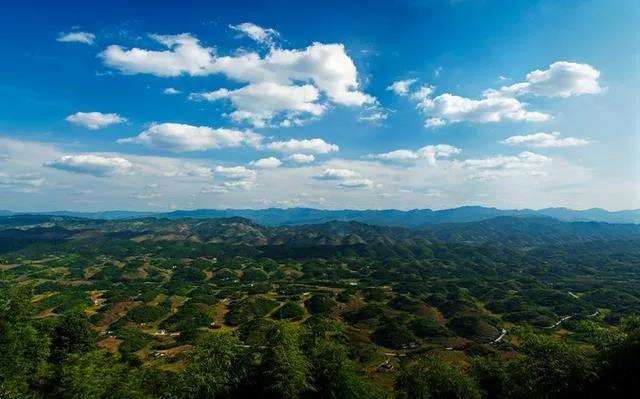 观竹景、赏竹文、品竹食……快来领略宜宾最美竹游风情！(图2)