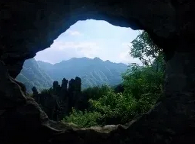 观竹景、赏竹文、品竹食……快来领略宜宾最美竹游风情！(图5)