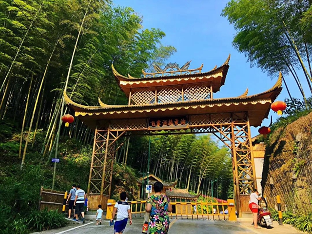 观竹景、赏竹文、品竹食……快来领略宜宾最美竹游风情！(图8)