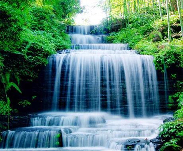 观竹景、赏竹文、品竹食……快来领略宜宾最美竹游风情！(图10)
