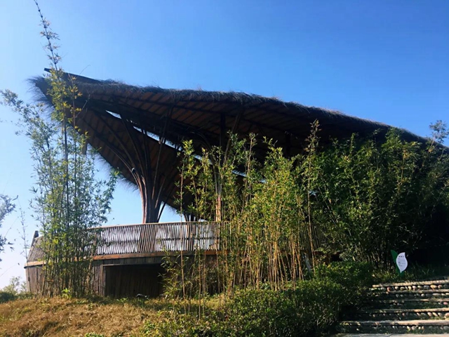 观竹景、赏竹文、品竹食……快来领略宜宾最美竹游风情！(图15)