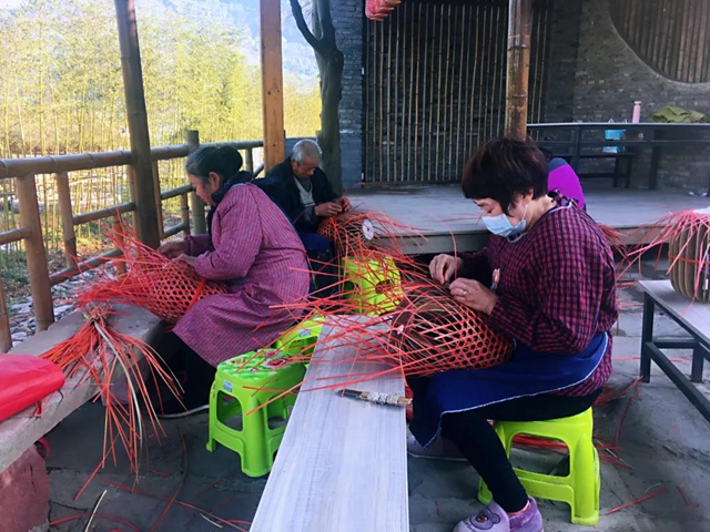 观竹景、赏竹文、品竹食……快来领略宜宾最美竹游风情！(图17)