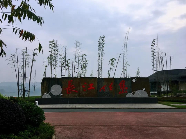 观竹景、赏竹文、品竹食……快来领略宜宾最美竹游风情！(图18)