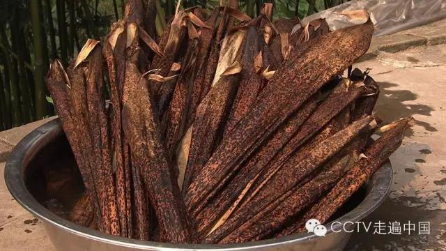 观竹景、赏竹文、品竹食……快来领略宜宾最美竹游风情！(图29)