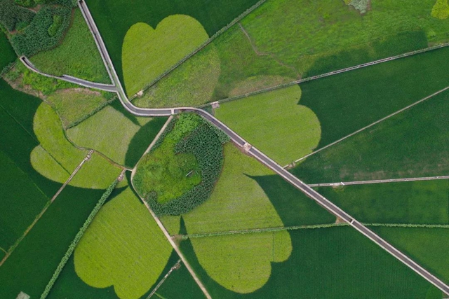 泸县入选全省第一批乡村水务试点县(图3)