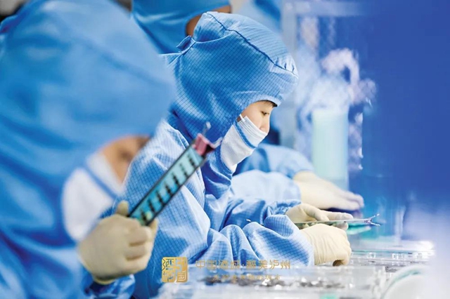 瞄准高端零部件制造丨泸州将初步建立电子信息制造产业、新经济产业两条分链