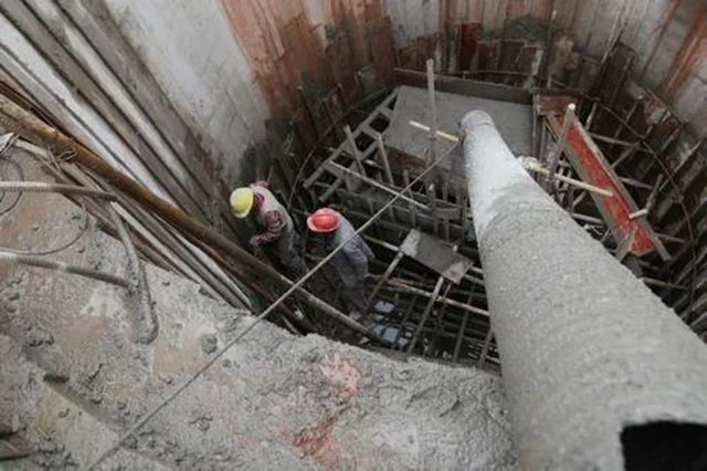 泸州江阳:筑牢绿色屏障,倾力打造“生态之城”(图4) 泸州江阳:筑牢绿色屏障,倾力打造“生态之城”(图4)