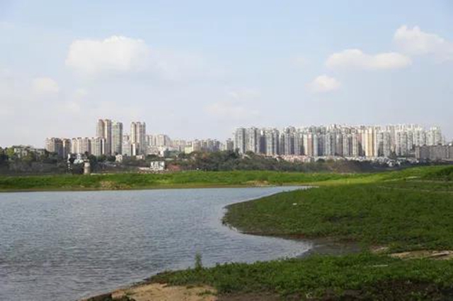 泸州江阳:筑牢绿色屏障,倾力打造“生态之城”(图6) 泸州江阳:筑牢绿色屏障,倾力打造“生态之城”(图6)