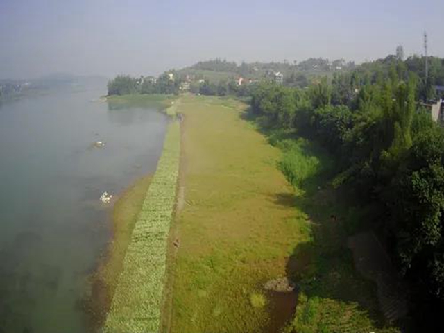 泸州江阳:筑牢绿色屏障,倾力打造“生态之城”(图7) 泸州江阳:筑牢绿色屏障,倾力打造“生态之城”(图7)