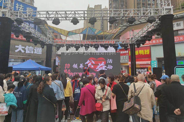 内江：来！给13个流浪的“毛孩子”一个家