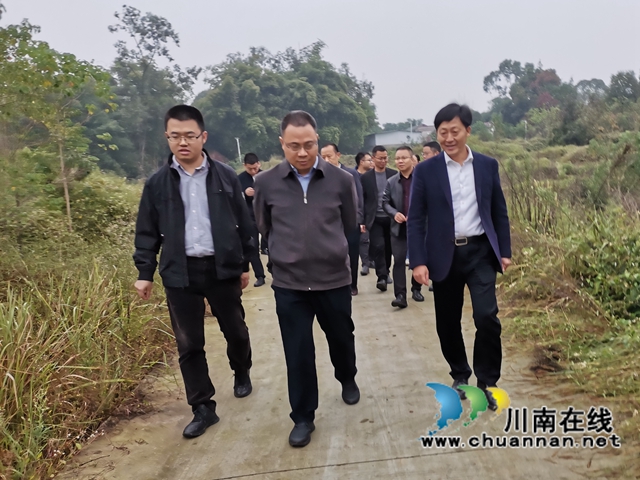 吕先率队到泸县百和镇督导大鹿溪河长制工作(图2)