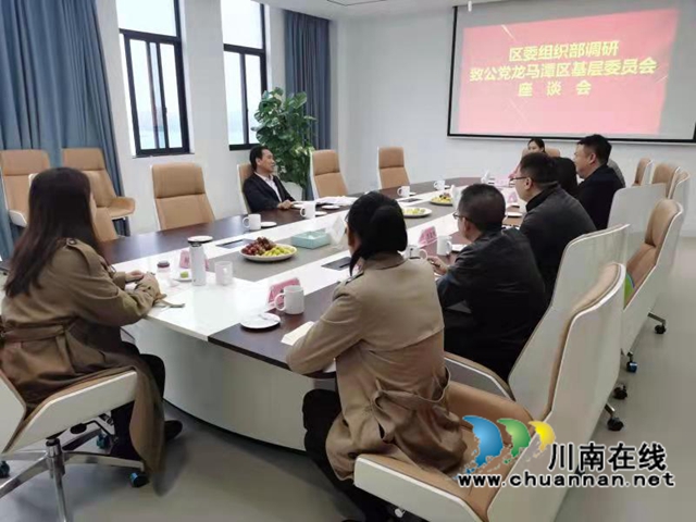 龙马潭区委常委、组织部部长李正梁调研致公党基层组织工作(图3)