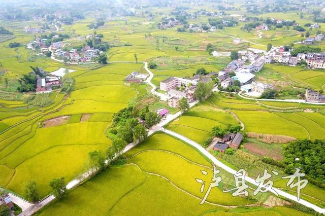 泸州市唯一!泸县入选第二批城乡交通运输一体化示范创建县名单(图4) 泸州市唯一!泸县入选第二批城乡交通运输一体化示范创建县名单(图4)