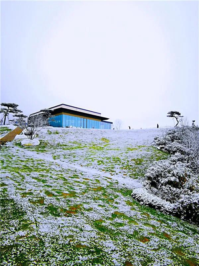 美醉了，泸州迎来绝美初雪！(图6)