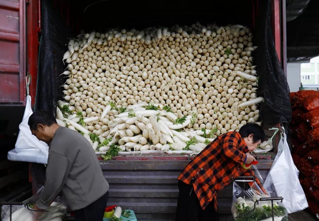 龙马潭:多措并举,力保市民“菜篮子”稳稳的(图7) 龙马潭:多措并举,力保市民“菜篮子”稳稳的(图7)