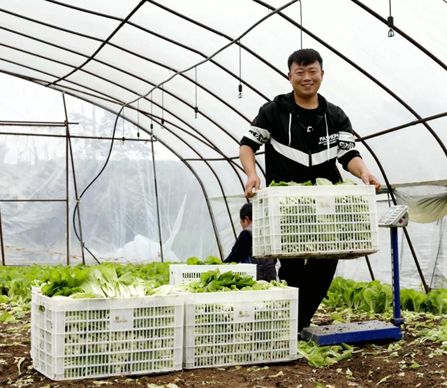 龙马潭:多措并举,力保市民“菜篮子”稳稳的(图5) 龙马潭:多措并举,力保市民“菜篮子”稳稳的(图5)