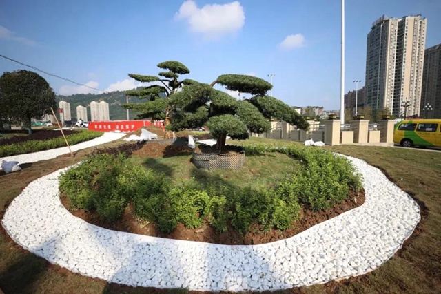 好消息！宜宾岷江桥头交通枢纽预计今年底全部贯通