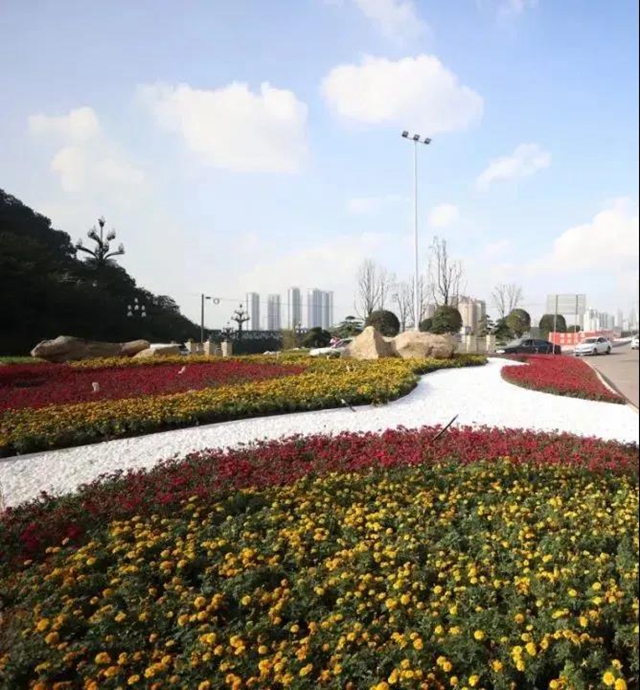 好消息！岷江桥头交通枢纽预计今年底全部贯通(图3)