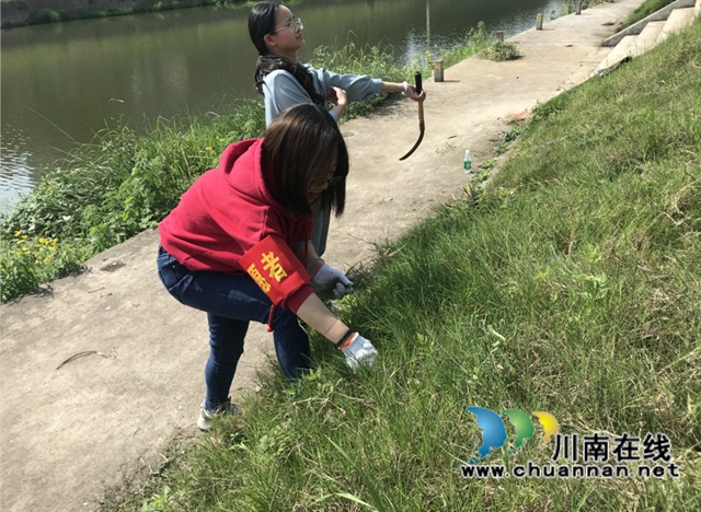 泸州盟员：开展河堤垃圾清理行动，打响环境保卫战(图1)