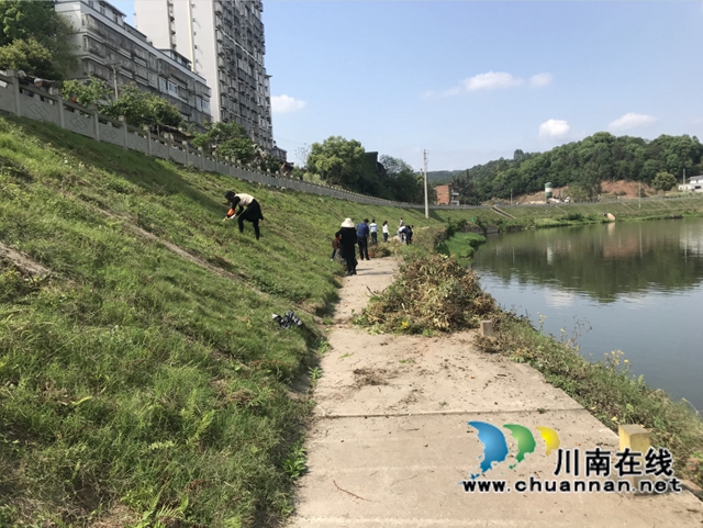 泸州盟员：开展河堤垃圾清理行动，打响环境保卫战(图2)