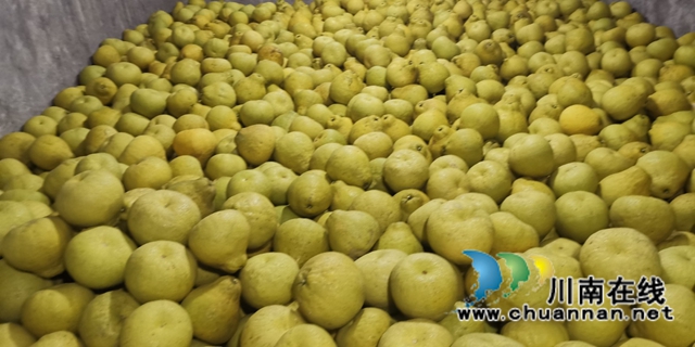 泸州民盟：双十一，好“柚货”助销售好帮手 (图1)